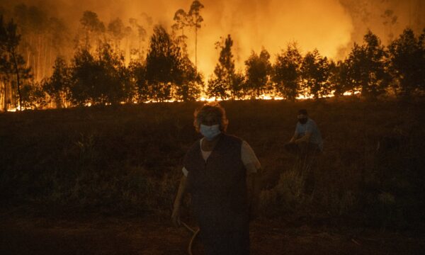 OMM confirma El Niño forte a partir de agosto: o risco de desastres climáticos vai aumentar?