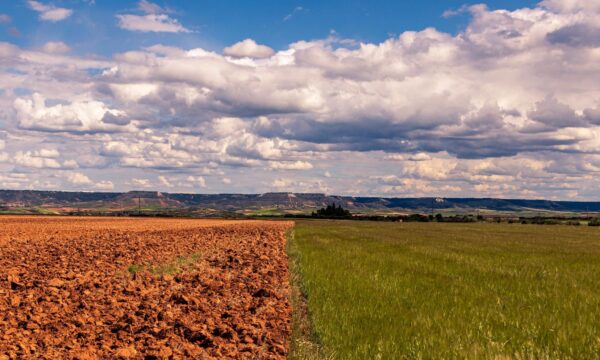 Super El Niño: o que o fenômeno climático mais intenso desde 1950 pode