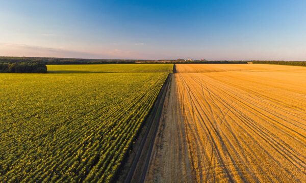 Em acordo com o agronegócio, governo anuncia MP de repactuação de dívidas do setor