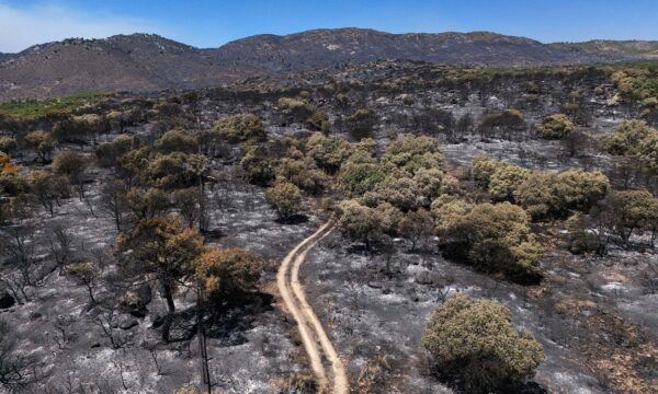 Incêndios desaceleram na Europa, enquanto nova onda de calor ameaça re
