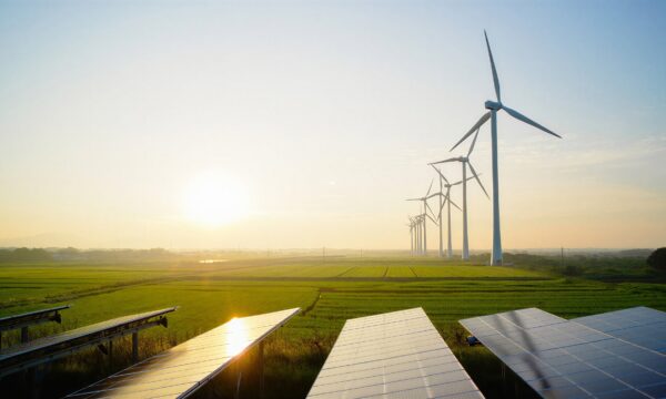 O caminho para um setor elétrico mais competitivo e sustentável