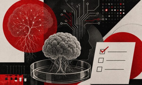 Células cerebrais humanas podem virar computadores — e isso preocupa c