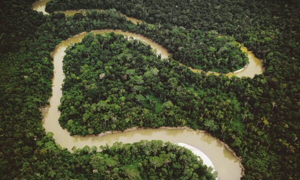 Créditos de carbono em terras públicas esbarram em disputa fundiária e