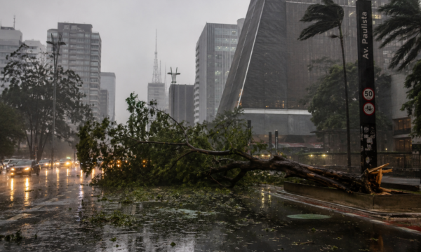 Até quando vai ventar em SP? Confira a previsão para os próximos dias