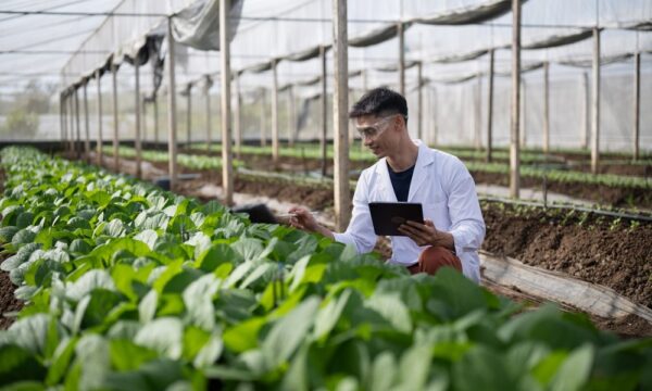 Dia do Agricultor: A inovação no campo começa com quem produz