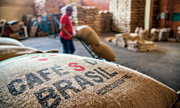 Alemanha supera EUA e se torna principal destino do café brasileiro em