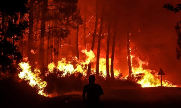 Incêndios florestais agravam crise de produtores de vinho em Bordeaux