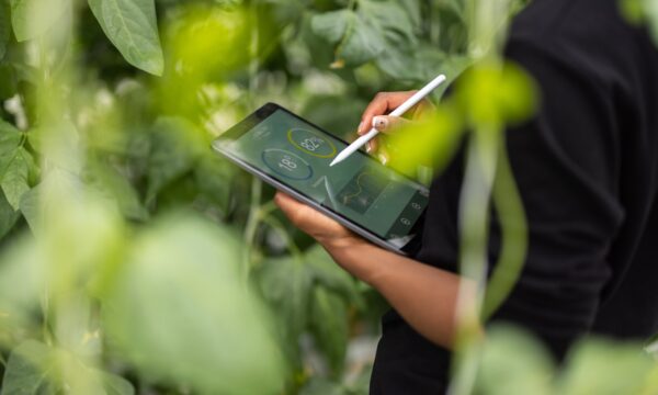 UNICEF e parceiros lançam aliança para ampliar empregos verdes no Bras