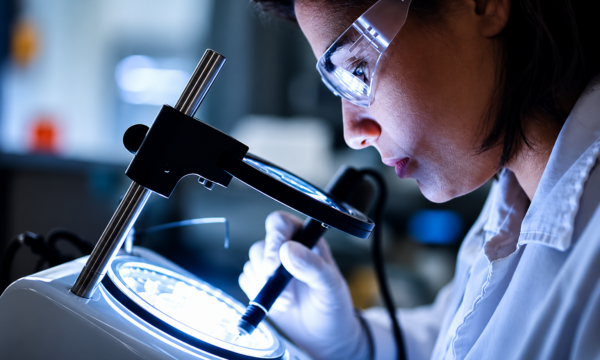 De sete anos de prejuízo à disputa por compradores: a virada da Medquímica