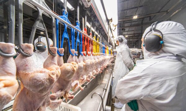 O Brasil pode ter uma nova ameaça que vem da China — e a ‘vítima’ é o
