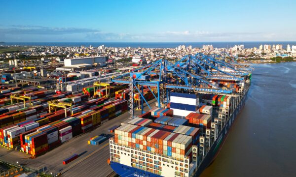 Com MSC, Portonave prepara para atracar R$ 2 bilhões em investimentos