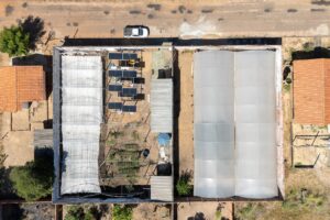 Projeto pioneiro no Tocantins usa energia solar e amplia em 25% a prod