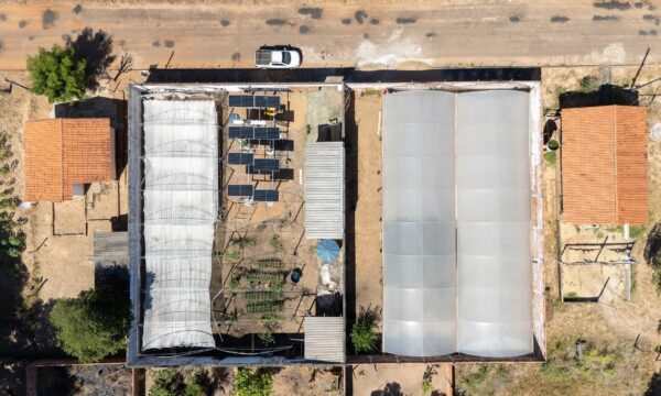 Projeto pioneiro no Tocantins usa energia solar e amplia em 25% a produção de alimentos