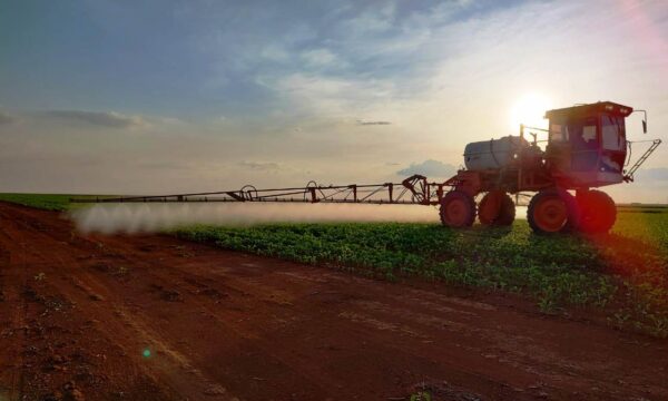 Mercado de biológicos cresce, mas guerra de preços desafia empresas, diz consultoria