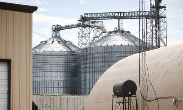 Acelen Renováveis assina acordo com Bunge para óleo de soja em projeto de SAF e HVO na Bahia