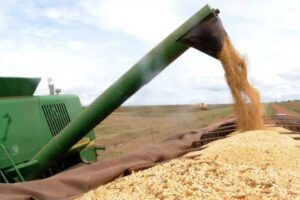Fiagro VGIA11 desaba 25% após inadimplência de CRA; gestora vê reação “irracional”