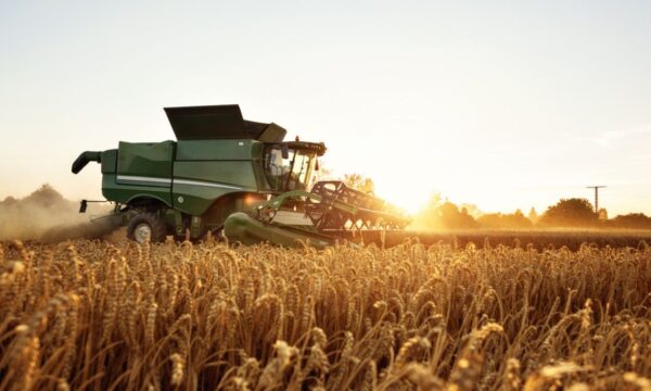 SLC Agrícola (SLCE3): BTG vê ação mais atrativa nos próximos 12 meses