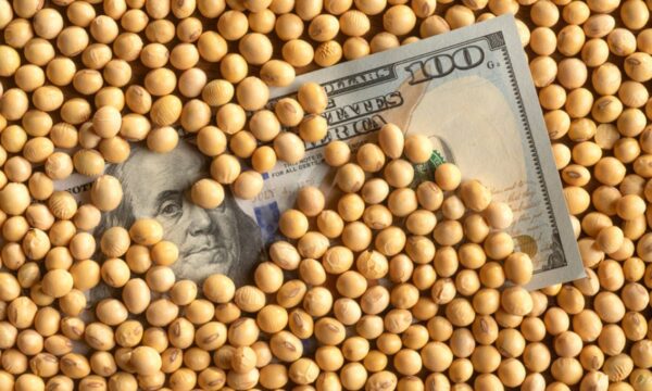 Esperando melhora no câmbio, agricultores argentinos adiam vendas de soja, apesar de preços mais altos