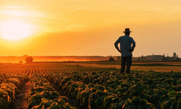 Preços ao produtor no Brasil têm queda de 0,77% em junho, diz IBGE