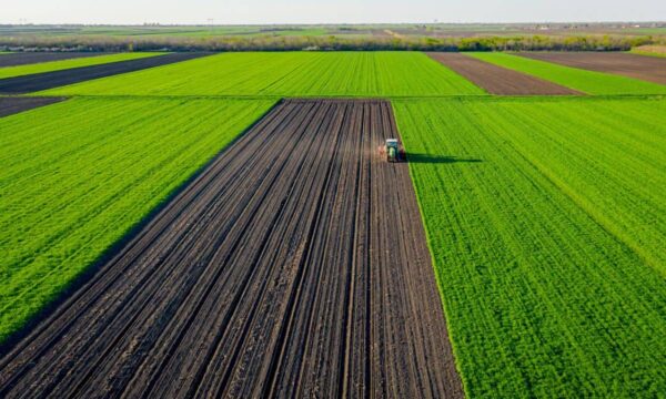 BrasilAgro (AGRO3) aprova dívida de até R$ 200 milhões com Banco do Br