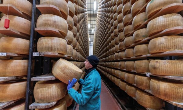 'Não queremos ser a última geração a comer esse queijo': ondas de calor ameaçam a produção do Parmigiano Reggiano na Itália