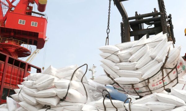 O ano mais atípico da história do mercado brasileiro de fertilizantes, segundo a Keytrade