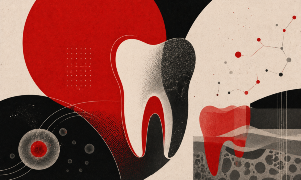 Adeus aos implantes? Cientistas estão mais perto de regenerar dentes h