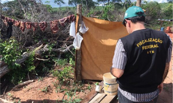 Brasil tem trabalho forçado? País bateu recorde de denúncias em 2025