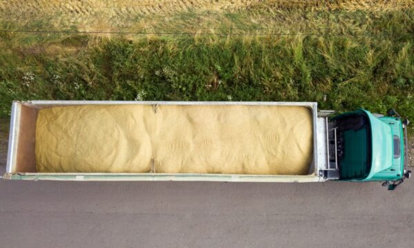 1/3 das exportações do agro do Brasil aos EUA terão sobretaxa total de