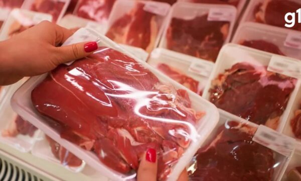 Ministério nega ter pedido flexibilização à UE para carne brasileira e aguarda análise de documentos