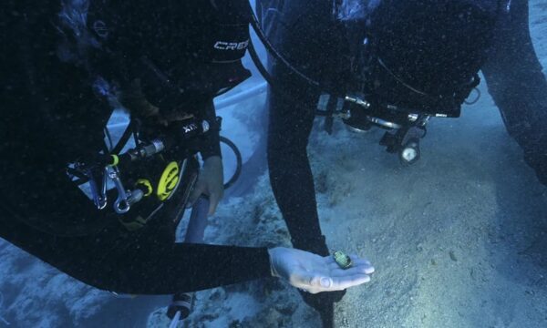 Naufrágio bizantino revela raro tesouro de ouro no Mar Mediterrâneo
