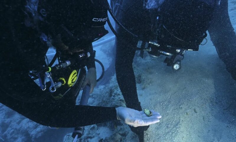 Naufrágio bizantino revela raro tesouro de ouro no Mar Mediterrâneo