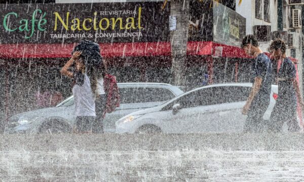 Defesa Civil emite alerta severo para fortes rajadas de vento em SP