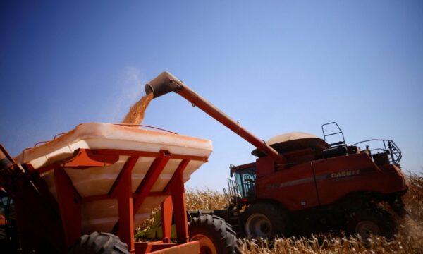 Brasil deve perder posto 2º exportador de milho para Argentina em 2025