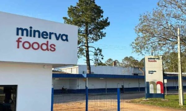 Por que a China virou trunfo deste frigorífico em meio a margens apert