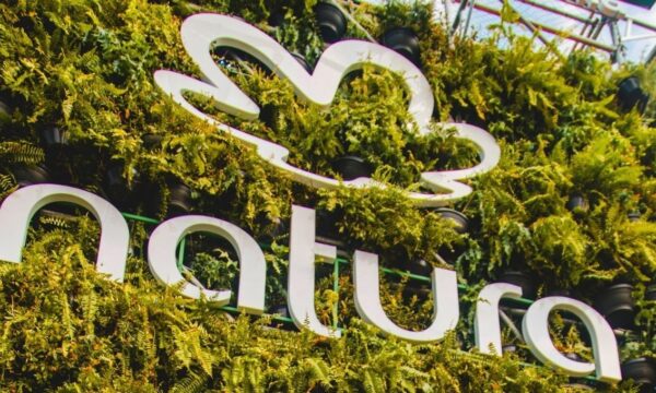 Vale a pena comprar Natura (NATU3)? Citi corta preço-alvo e mantém cautela antes do balanço; veja motivos