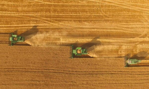 Tarifaço deve atingir 36,5% das exportações do agro brasileiro aos EUA, diz CNA
