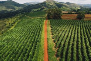 O maior erro que o mercado comete na avaliação de risco no agronegócio