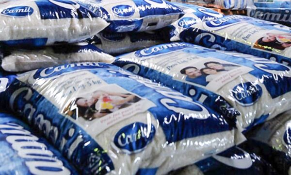 Por que a virada do arroz pode quase dobrar o lucro da Camil até 2027