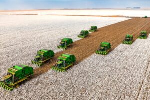 SLC Agrícola (SLCE3): Citi reduz preço-alvo pela segunda vez em menos