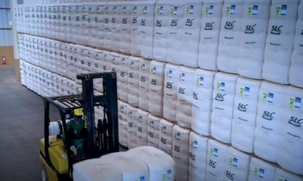 SLC Agrícola (SLCE3): Bank of America eleva preço-alvo por menor impacto no caixa, mas mantém recomendação