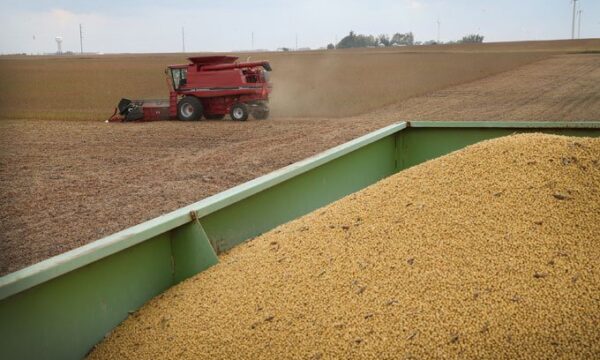 Por que o agro do Brasil pode ser maior do que o dos EUA — ainda neste