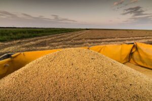 PIB do setor de soja e biodiesel deve avançar 6,87% em 2026, aponta Ce