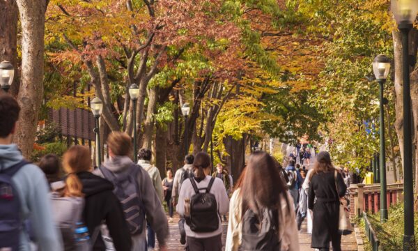Essas são 5 competências essenciais para o futuro do trabalho — como d