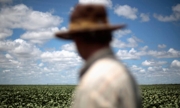 CNA lança IA personalizada para produtor rural no WhatsApp