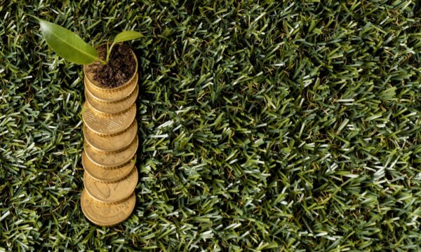 Transição ecológica custa menos que a inação climática no Brasil, revela estudo