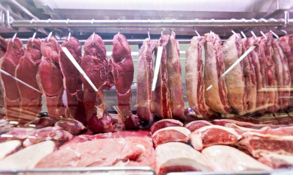 Menos boi, mais prejuízo: frigorífico dos EUA pode perder até US$ 650