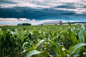 ‘O Brasil tem muito para mostrar de uma nova agricultura’, diz representante da FAO