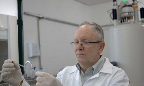 Cientistas identificam ‘impressão digital química’ para rastrear a origem do pescado