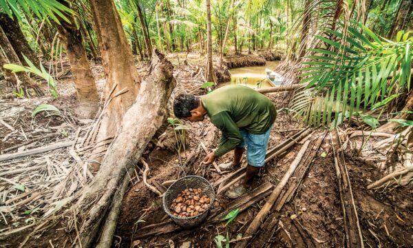 Amazon passa a vender produtos da floresta e gera renda para comunidades amazônicas
